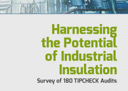 Harnessing the Potential of Industrial Insulation. Survey of 180 TIPCHECK Audits.