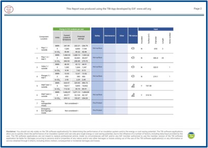 TBI-Report page 6 example