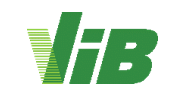 VIB